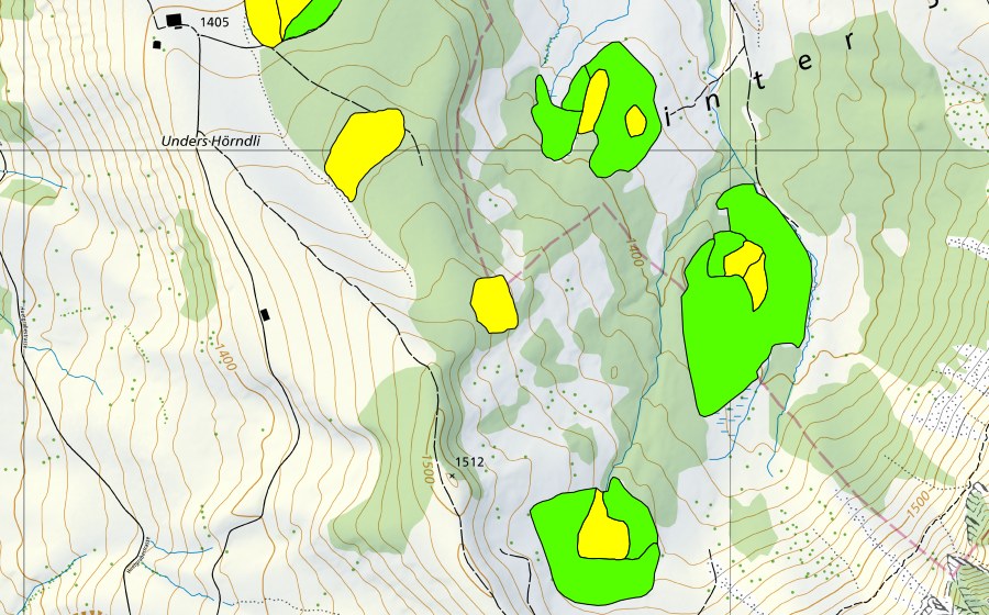 Landeskarte swisstopo mit dem Schutzperimeter von Moor östlich Unteres Hörnli (Hochmoor)