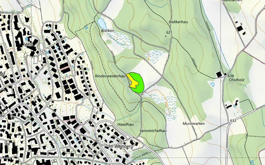 swisstopo national map showing the protected perimeter of Moor Rinderweiderhau/Hinter Bisliken (Raised bog)