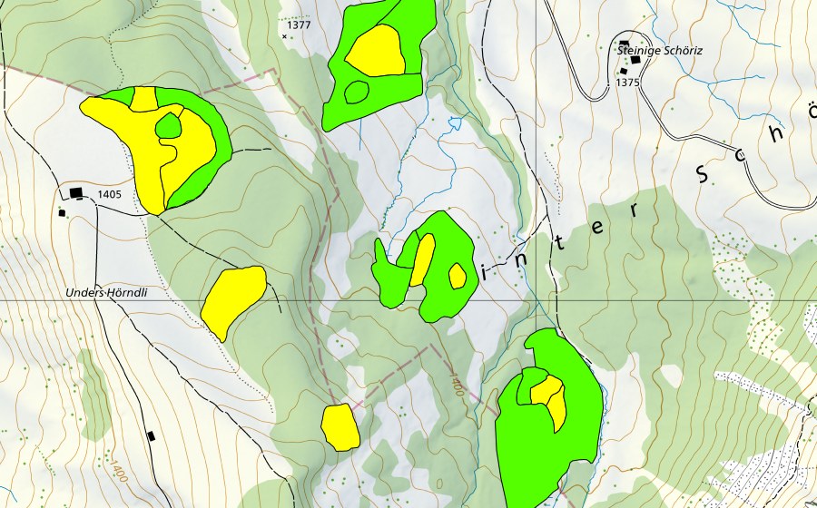 Landeskarte swisstopo mit dem Schutzperimeter von Moor südwestlich Steinige Schöriz (Hochmoor)