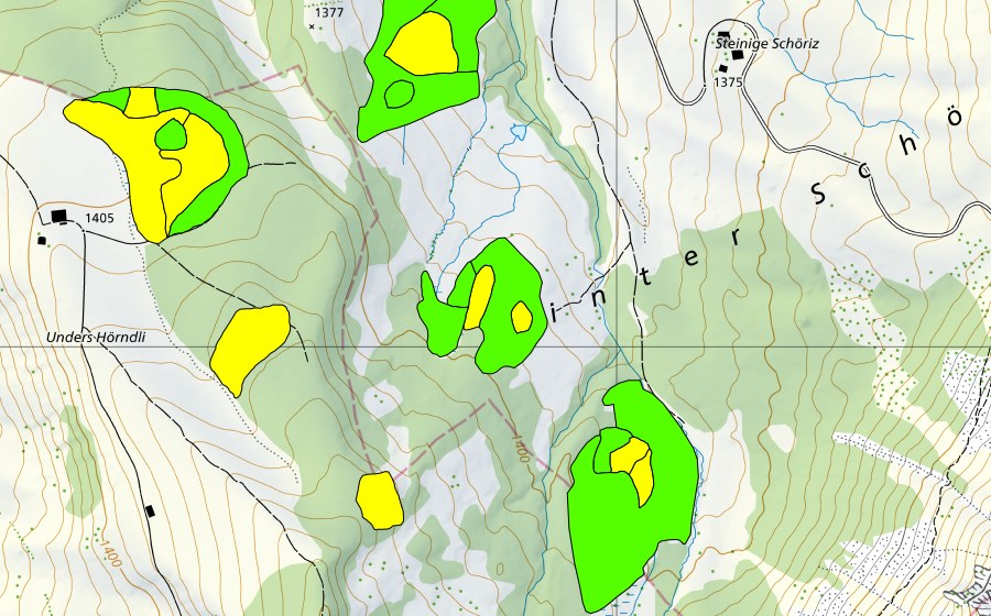 swisstopo national map showing the protected perimeter of Moor südwestlich Steinige Schöriz (Raised bog)