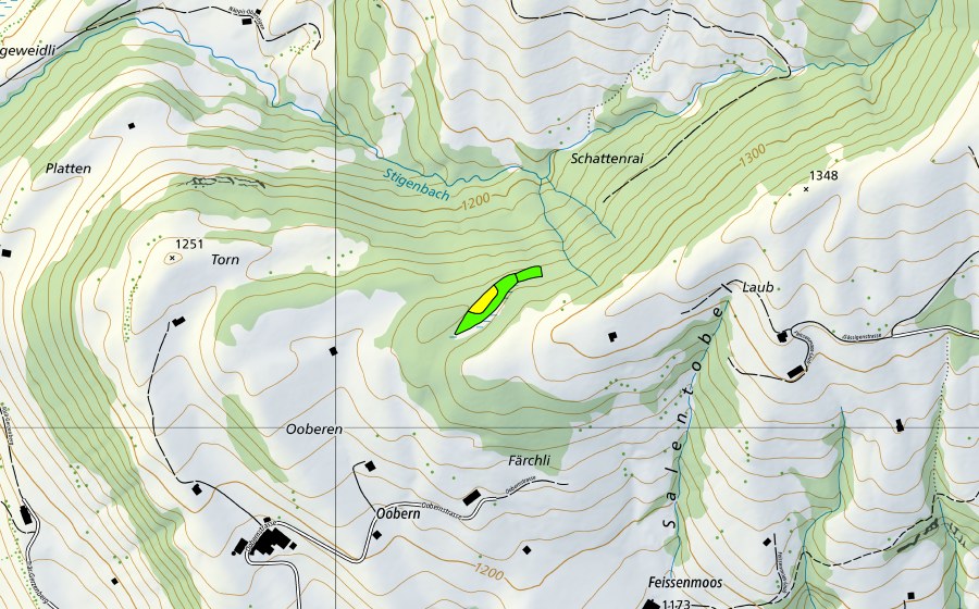 swisstopo national map showing the protected perimeter of Moor zwischen Turn und Laub (Raised bog)