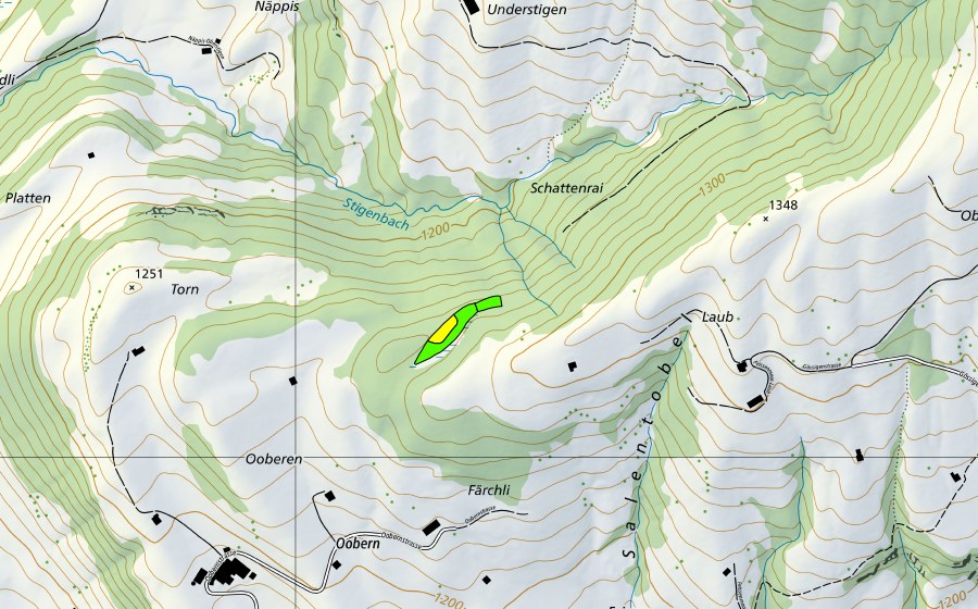 Carta nazionale swisstopo con il perimetro protetto di Moor zwischen Turn und Laub (Torbiera alta)
