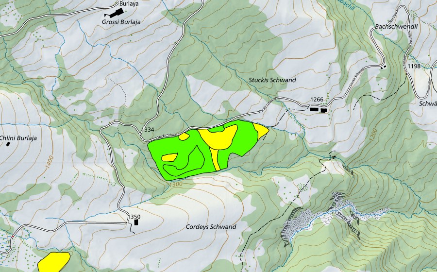 Landeskarte swisstopo mit dem Schutzperimeter von Moore am Schwyberg (Einzugsgebiet des Rotenbaches) (Hochmoor)
