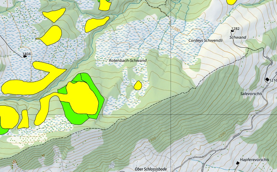 Landeskarte swisstopo mit dem Schutzperimeter von Moore am Schwyberg (Einzugsgebiet des Rotenbaches) (Hochmoor)