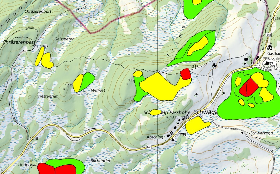 swisstopo national map showing the protected perimeter of Moore auf dem Chräzerenpass (Schwarzegg, Lauchriet, Witiriet) (Raised bog)