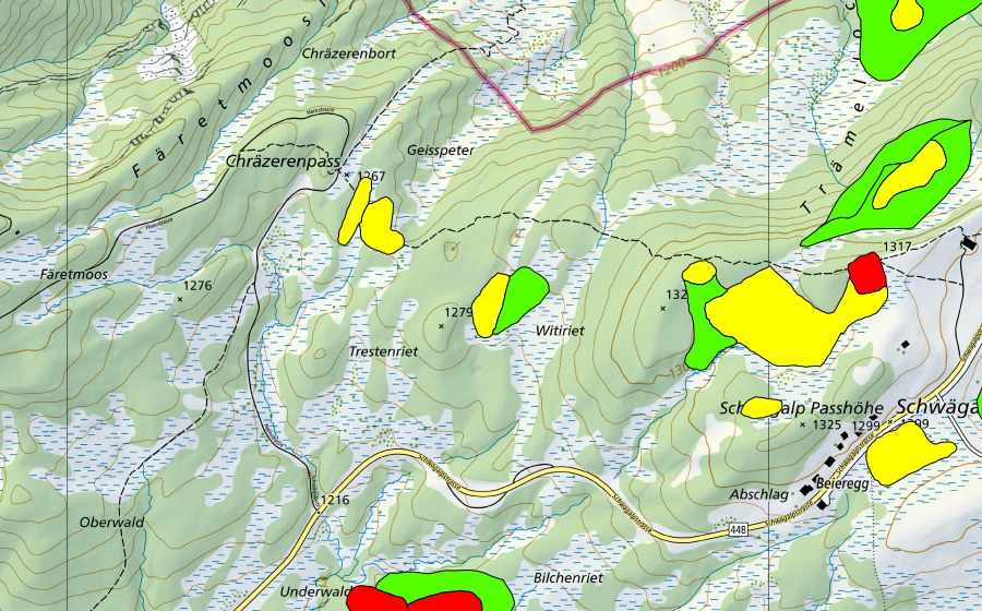Carta nazionale swisstopo con il perimetro protetto di Moore auf dem Chräzerenpass (Schwarzegg, Lauchriet, Witiriet) (Torbiera alta)