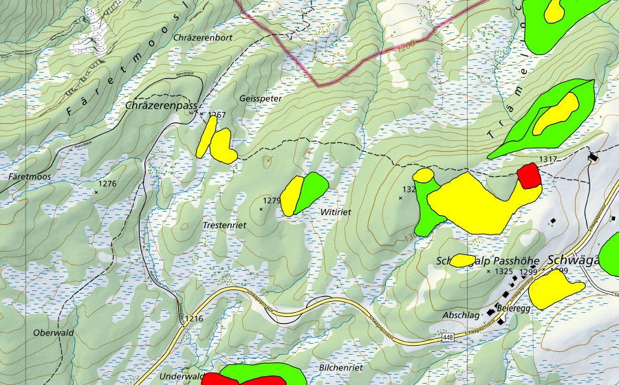 Carta nazionale swisstopo con il perimetro protetto di Moore auf dem Chräzerenpass (Schwarzegg, Lauchriet, Witiriet) (Torbiera alta)