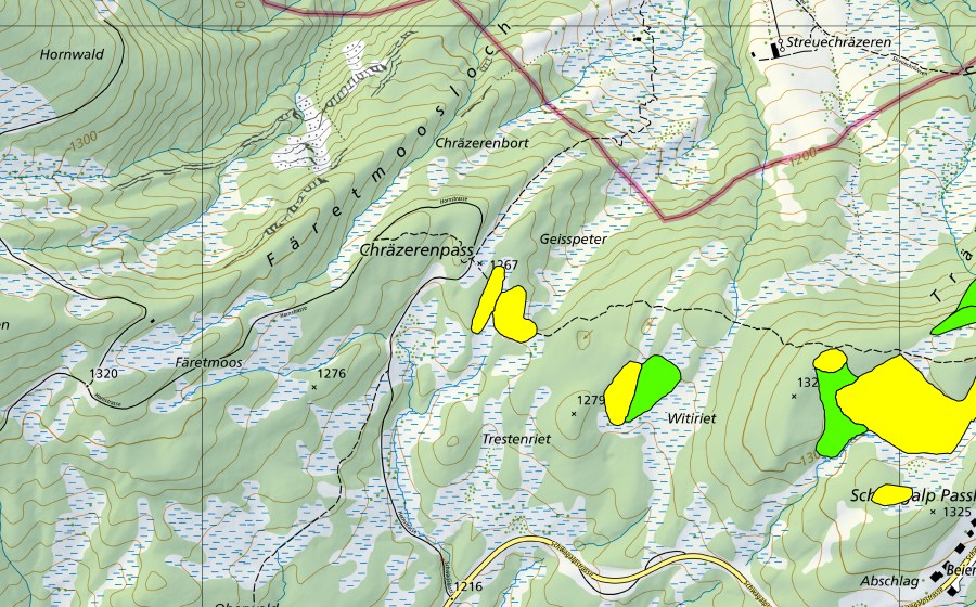 Landeskarte swisstopo mit dem Schutzperimeter von Moore auf dem Chräzerenpass (Schwarzegg, Lauchriet, Witiriet) (Hochmoor)