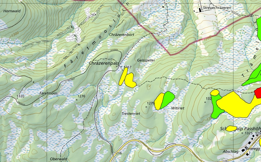 swisstopo national map showing the protected perimeter of Moore auf dem Chräzerenpass (Schwarzegg, Lauchriet, Witiriet) (Raised bog)