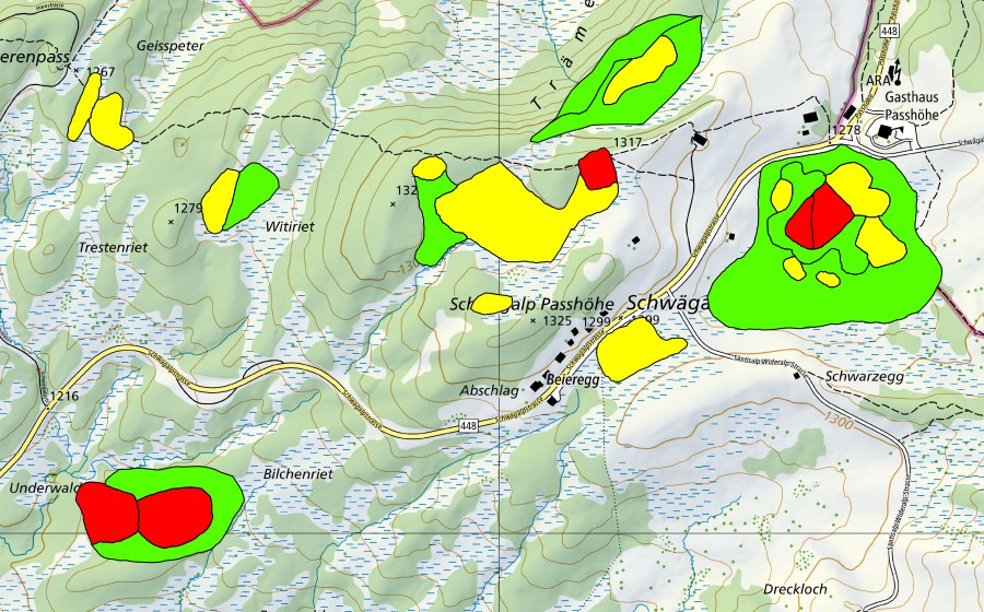 Landeskarte swisstopo mit dem Schutzperimeter von Moore auf dem Chräzerenpass (Schwarzegg, Lauchriet, Witiriet) (Hochmoor)