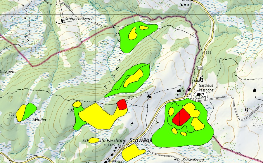 swisstopo national map showing the protected perimeter of Moore auf dem Chräzerenpass (Schwarzegg, Lauchriet, Witiriet) (Raised bog)