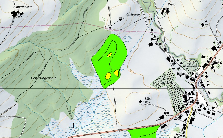 Carte nationale swisstopo avec le périmètre protégé de Moore auf dem Rickenpass (Haut-marais)