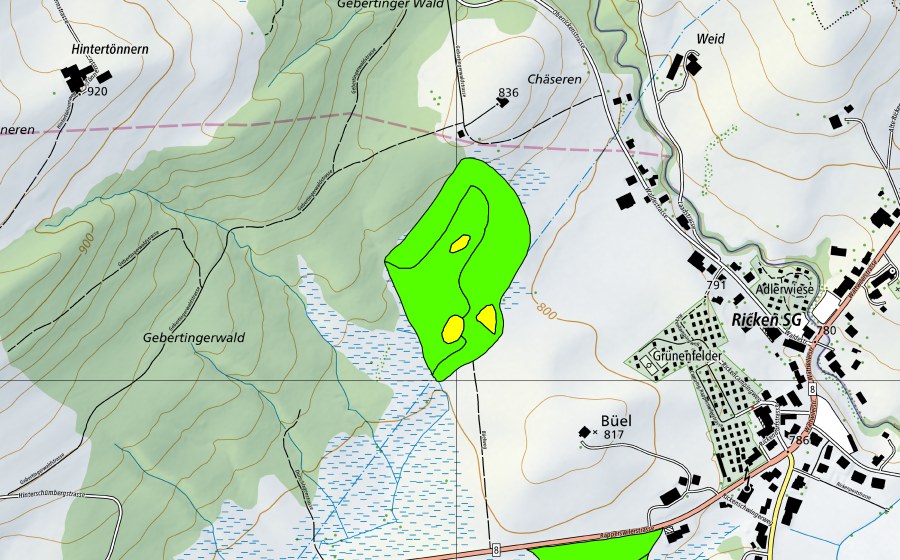 Carte nationale swisstopo avec le périmètre protégé de Moore auf dem Rickenpass (Haut-marais)