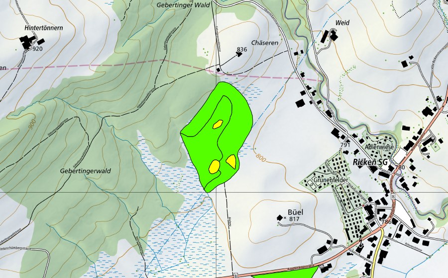 Landeskarte swisstopo mit dem Schutzperimeter von Moore auf dem Rickenpass (Hochmoor)