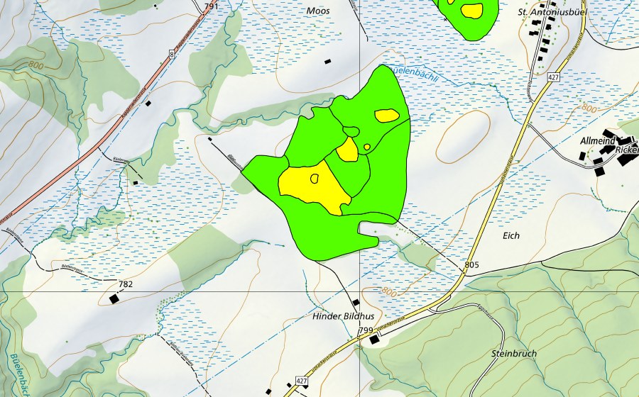 Landeskarte swisstopo mit dem Schutzperimeter von Moore auf dem Rickenpass (Hochmoor)
