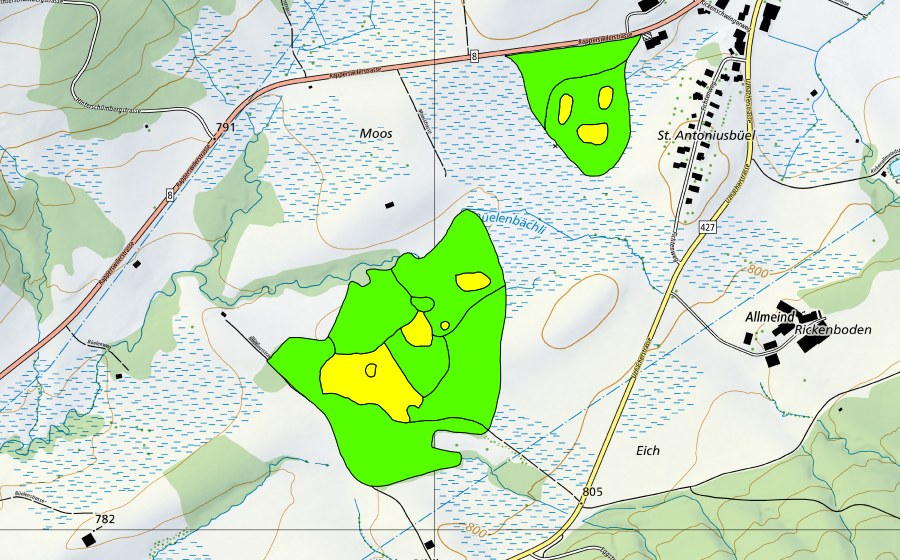 swisstopo national map showing the protected perimeter of Moore auf dem Rickenpass (Raised bog)
