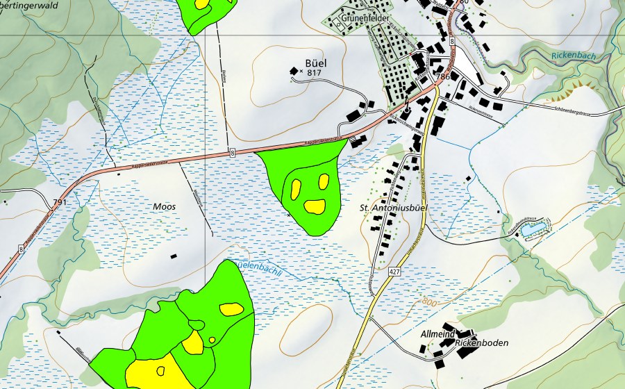 swisstopo national map showing the protected perimeter of Moore auf dem Rickenpass (Raised bog)