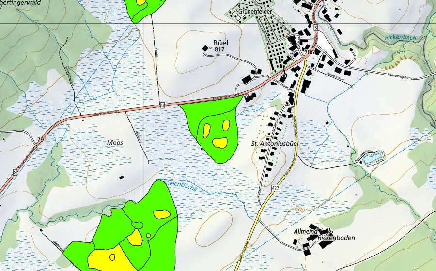 swisstopo national map showing the protected perimeter of Moore auf dem Rickenpass (Raised bog)