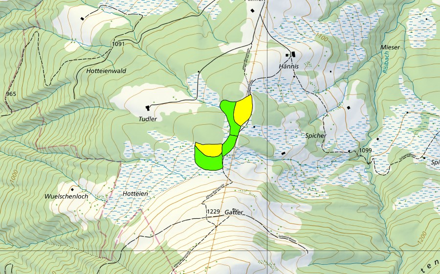 Carta nazionale swisstopo con il perimetro protetto di Moore auf der Wolzenalp (Hännis/Allmen/Rietbach) (Torbiera alta)