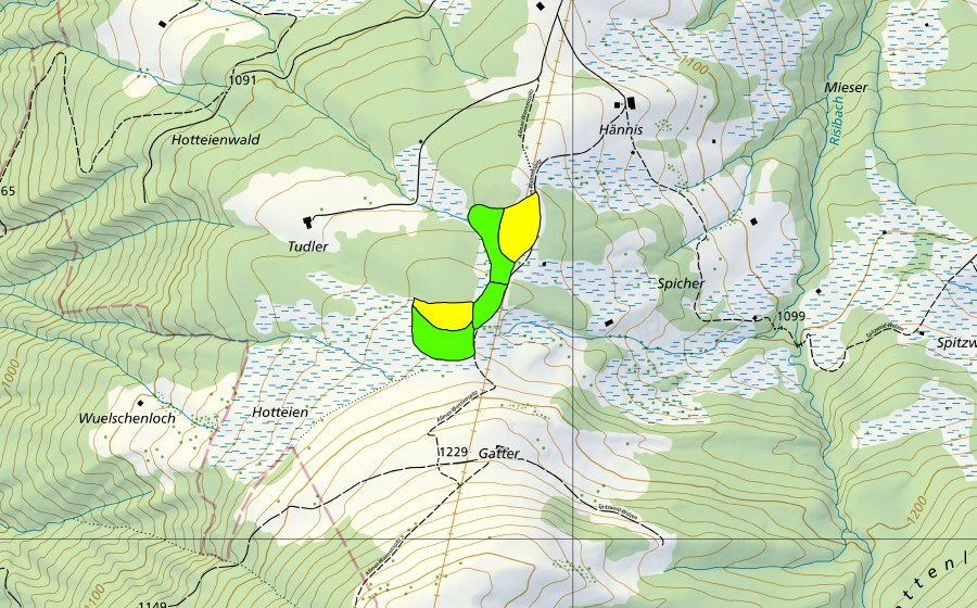 swisstopo national map showing the protected perimeter of Moore auf der Wolzenalp (Hännis/Allmen/Rietbach) (Raised bog)