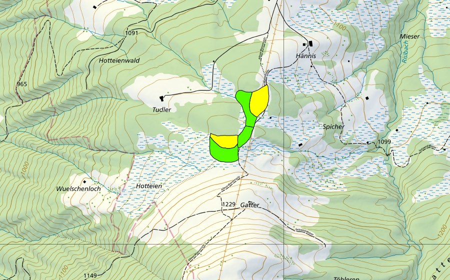 Landeskarte swisstopo mit dem Schutzperimeter von Moore auf der Wolzenalp (Hännis/Allmen/Rietbach) (Hochmoor)
