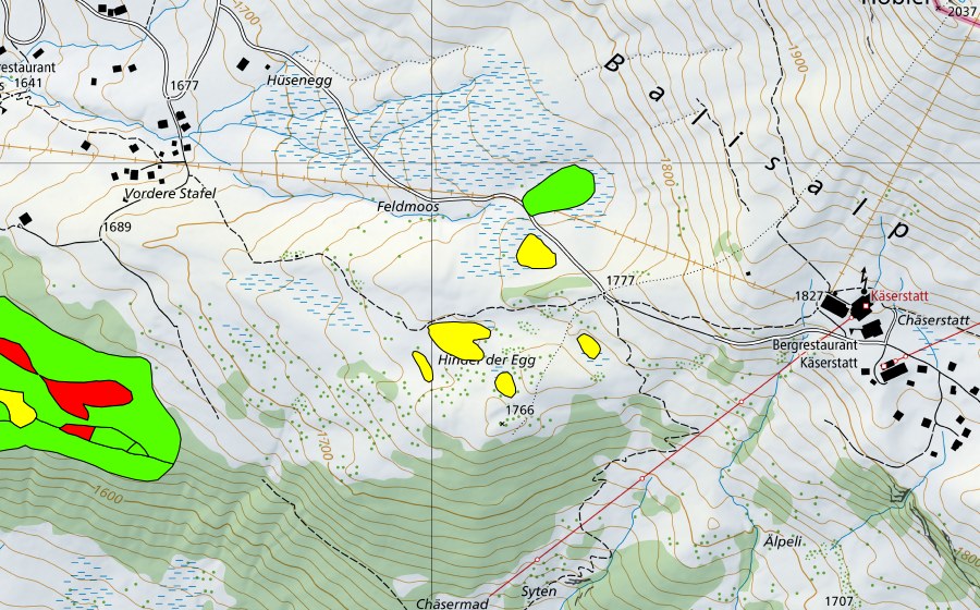 Landeskarte swisstopo mit dem Schutzperimeter von Moore hinder der Egg (Hochmoor)