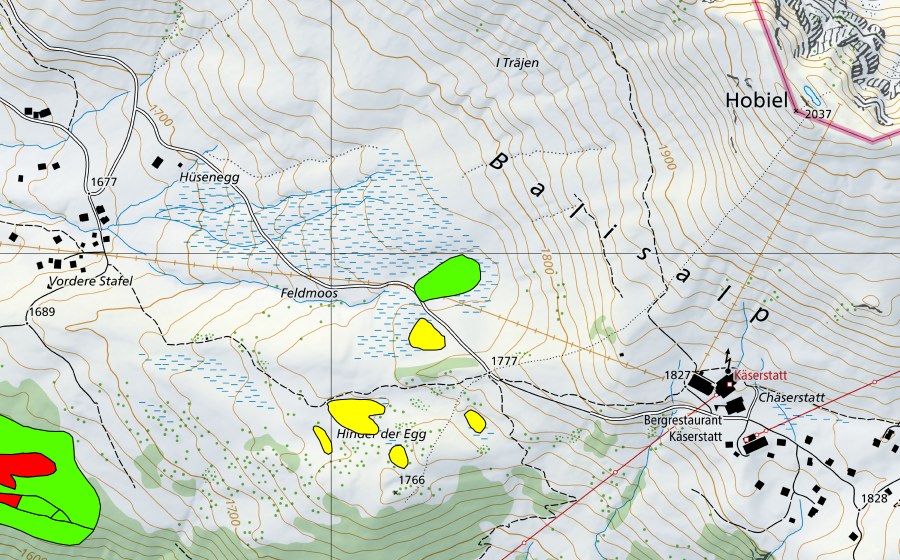 Landeskarte swisstopo mit dem Schutzperimeter von Moore hinder der Egg (Hochmoor)