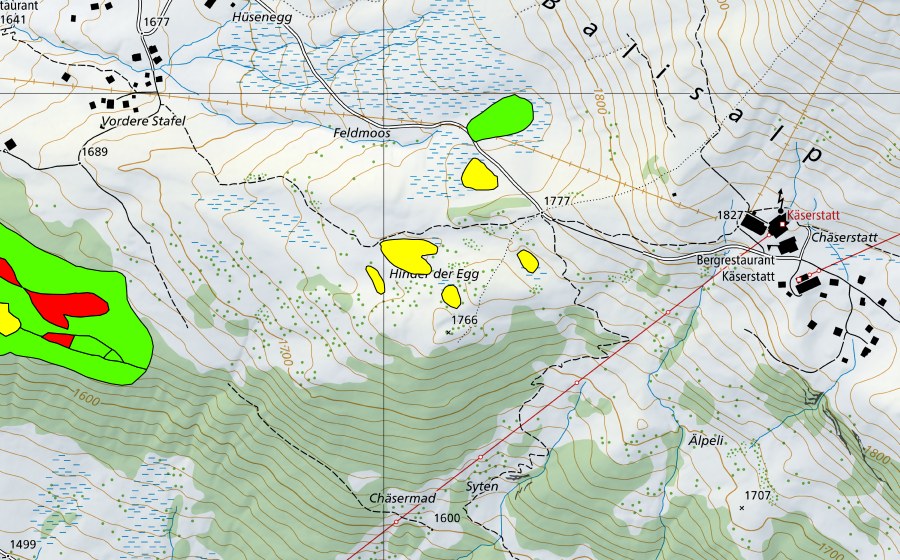 swisstopo national map showing the protected perimeter of Moore hinder der Egg (Raised bog)