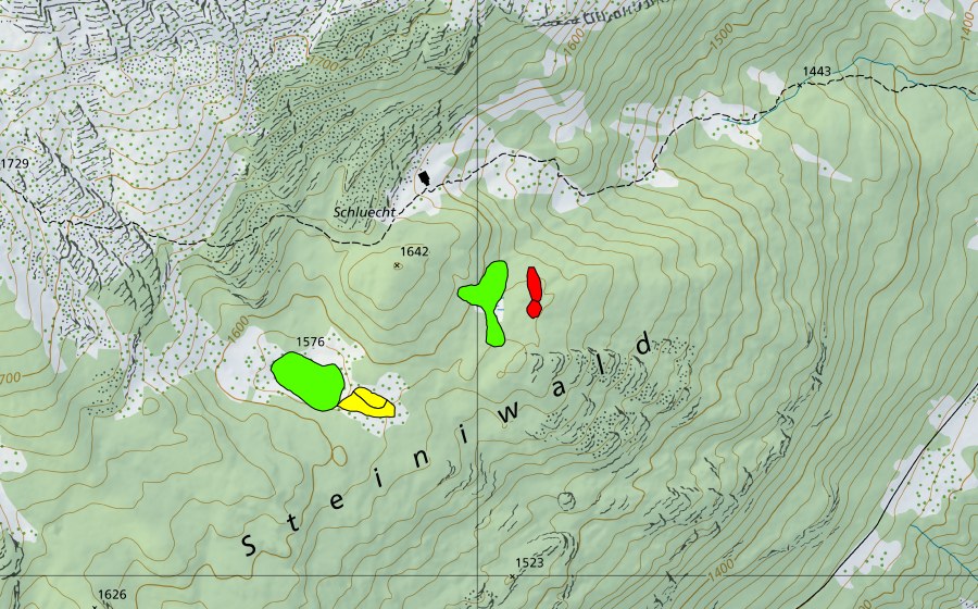 swisstopo national map showing the protected perimeter of Moore im Steiniwald (Raised bog)