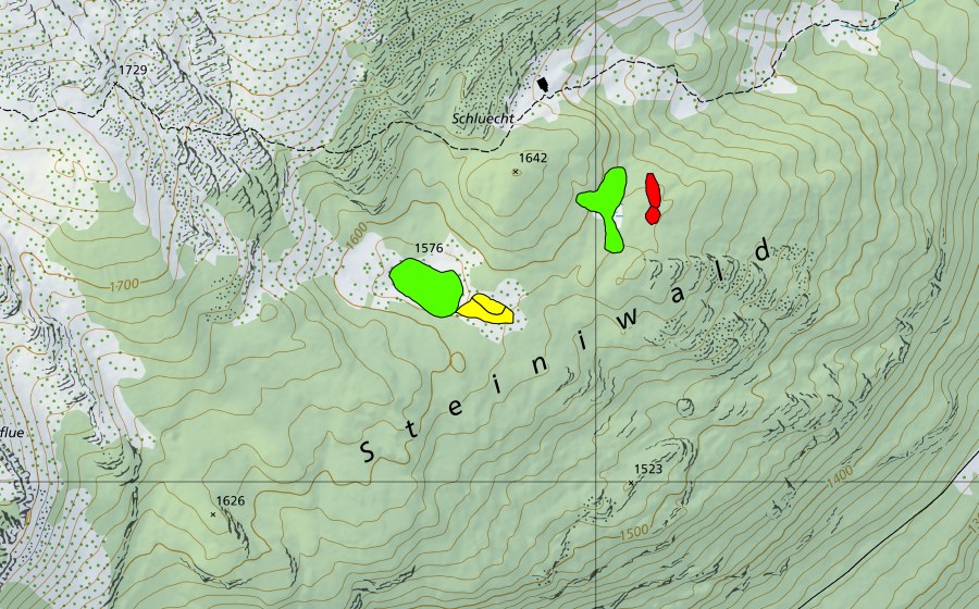 swisstopo national map showing the protected perimeter of Moore im Steiniwald (Raised bog)