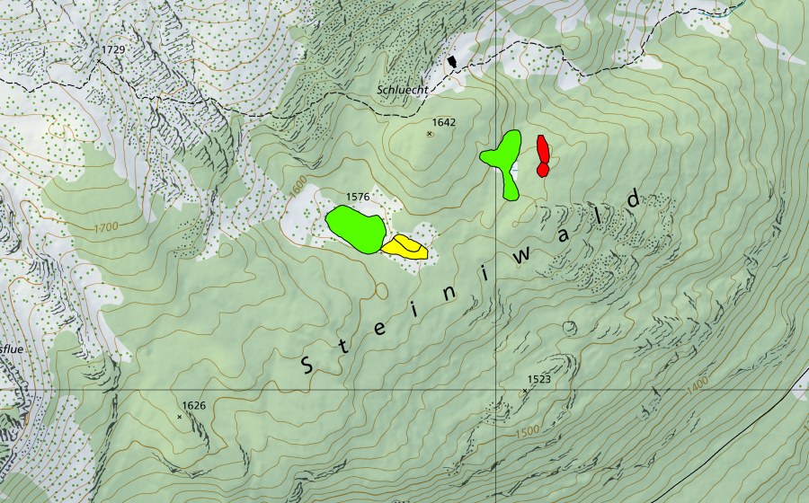 swisstopo national map showing the protected perimeter of Moore im Steiniwald (Raised bog)