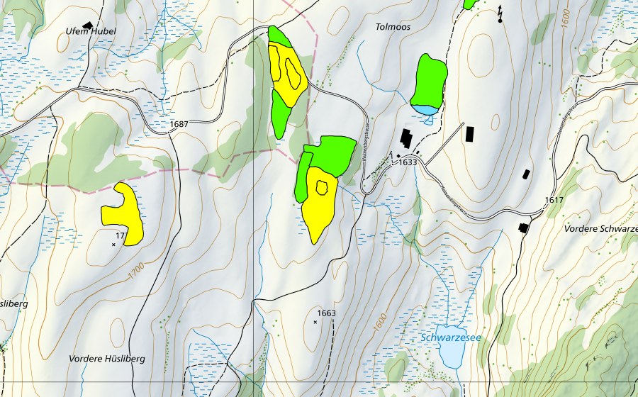 swisstopo national map showing the protected perimeter of Moore südwestlich Tolmoos (Raised bog)