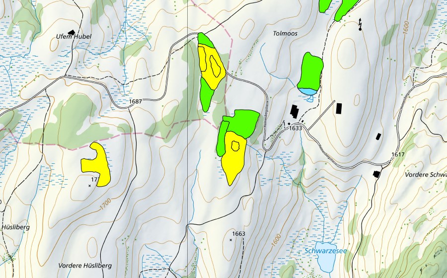 swisstopo national map showing the protected perimeter of Moore südwestlich Tolmoos (Raised bog)