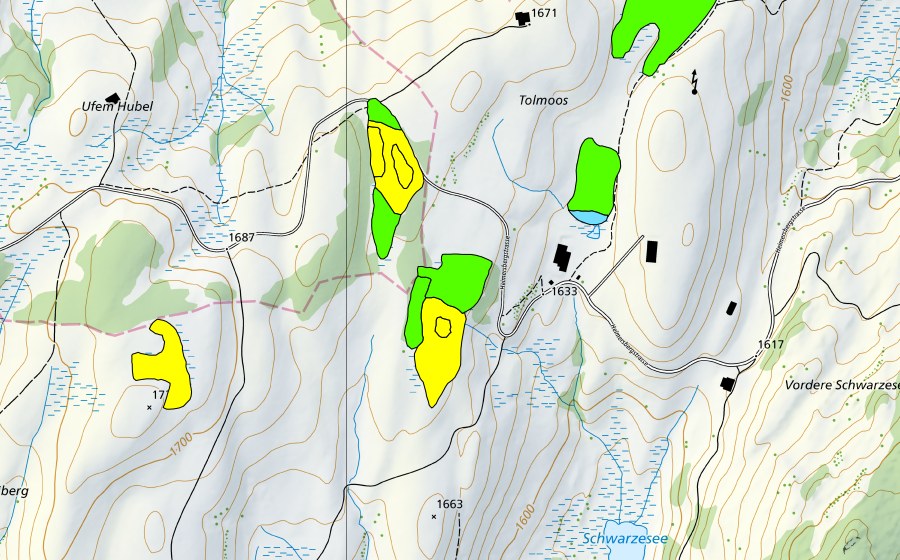 Carte nationale swisstopo avec le périmètre protégé de Moore südwestlich Tolmoos (Haut-marais)