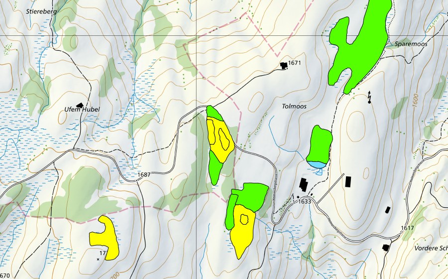 Landeskarte swisstopo mit dem Schutzperimeter von Moore südwestlich Tolmoos (Hochmoor)