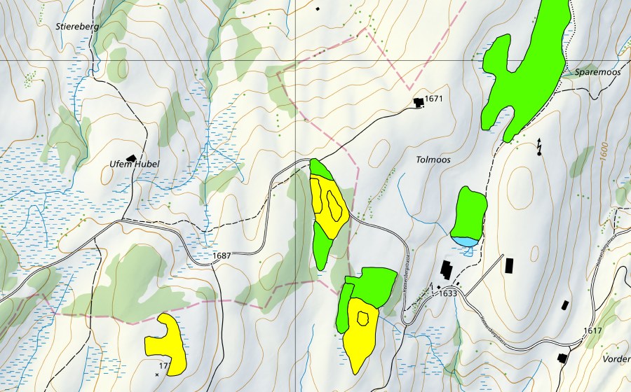 Carte nationale swisstopo avec le périmètre protégé de Moore südwestlich Tolmoos (Haut-marais)