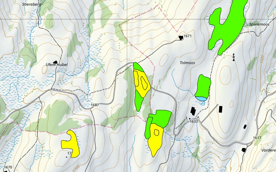 Landeskarte swisstopo mit dem Schutzperimeter von Moore südwestlich Tolmoos (Hochmoor)