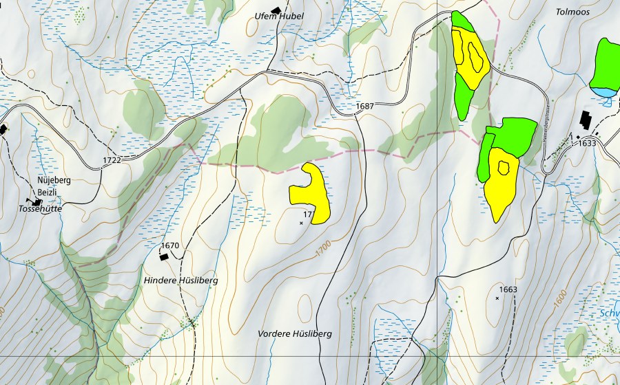 Carte nationale swisstopo avec le périmètre protégé de Moore südwestlich Tolmoos (Haut-marais)