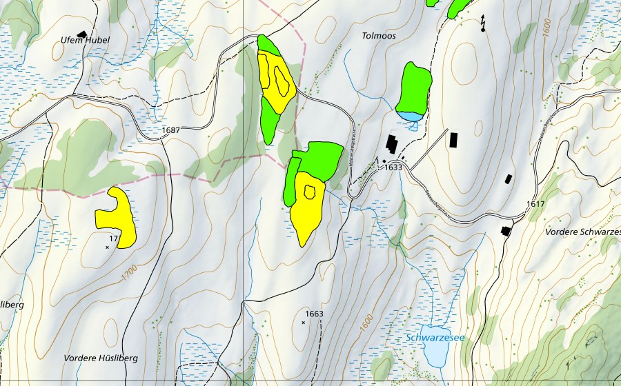 Landeskarte swisstopo mit dem Schutzperimeter von Moore südwestlich Tolmoos (Hochmoor)
