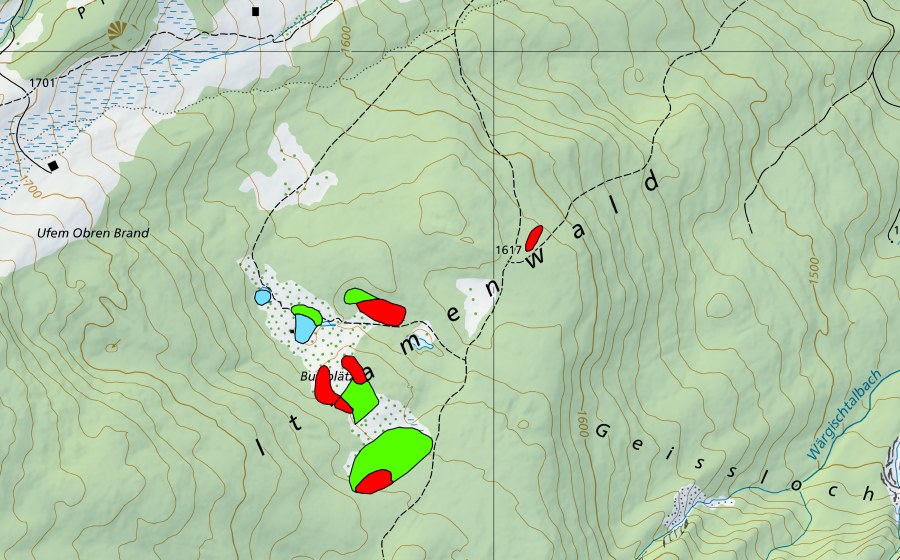 Landeskarte swisstopo mit dem Schutzperimeter von Moore und Seen bei Burstblätz (Hochmoor)