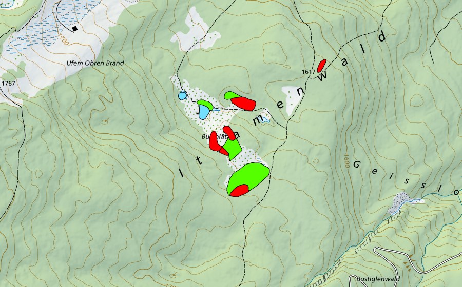 swisstopo national map showing the protected perimeter of Moore und Seen bei Burstblätz (Raised bog)