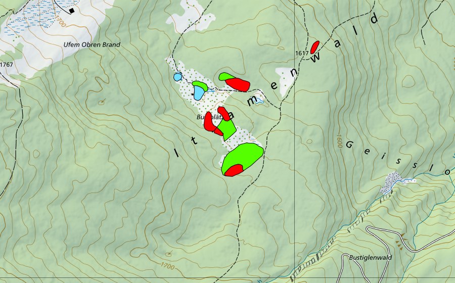 swisstopo national map showing the protected perimeter of Moore und Seen bei Burstblätz (Raised bog)