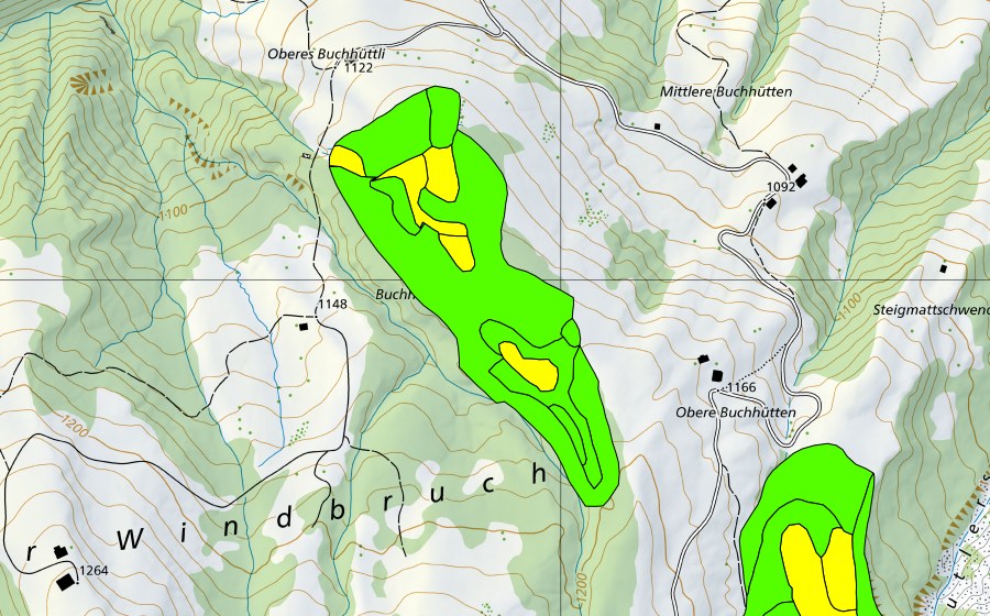 swisstopo national map showing the protected perimeter of Moore westlich Bütlerschwandgraben (Raised bog)