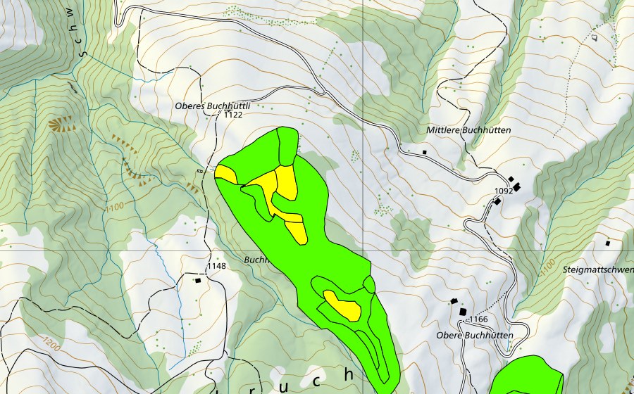 Landeskarte swisstopo mit dem Schutzperimeter von Moore westlich Bütlerschwandgraben (Hochmoor)