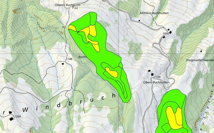 Landeskarte swisstopo mit dem Schutzperimeter von Moore westlich Bütlerschwandgraben (Hochmoor)