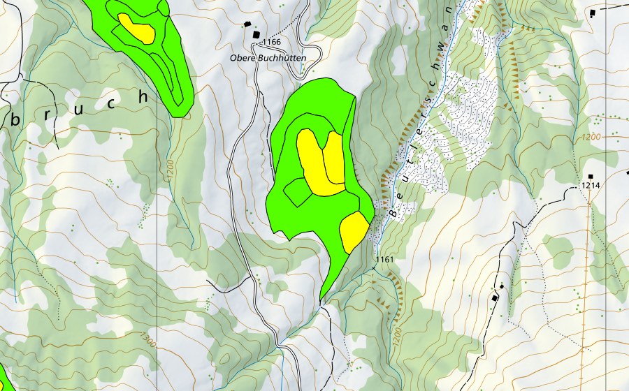 Landeskarte swisstopo mit dem Schutzperimeter von Moore westlich Bütlerschwandgraben (Hochmoor)
