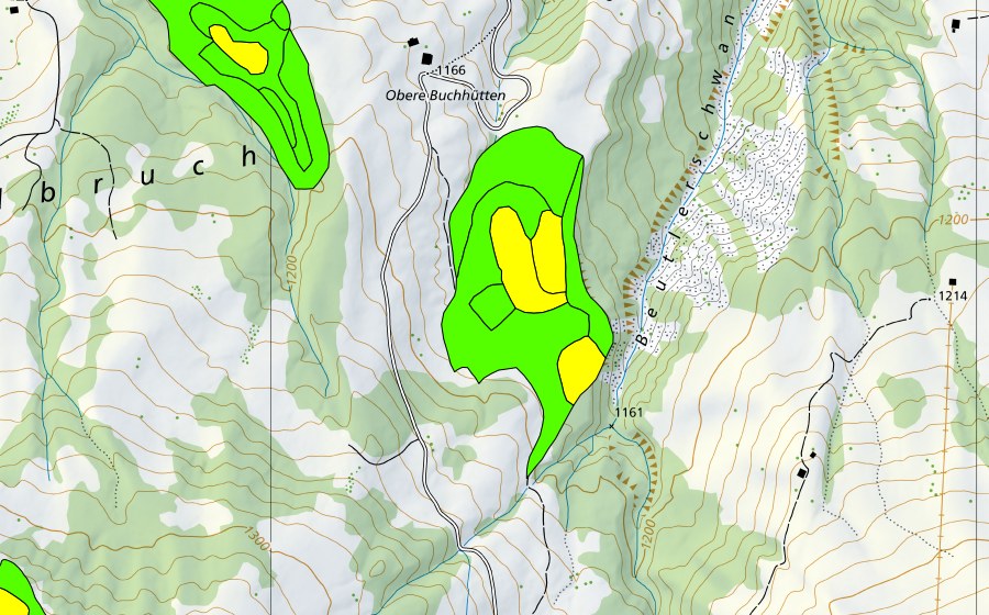 Landeskarte swisstopo mit dem Schutzperimeter von Moore westlich Bütlerschwandgraben (Hochmoor)