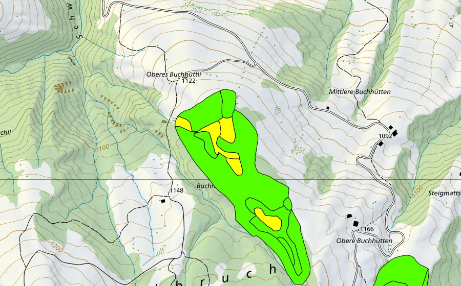 Landeskarte swisstopo mit dem Schutzperimeter von Moore westlich Bütlerschwandgraben (Hochmoor)