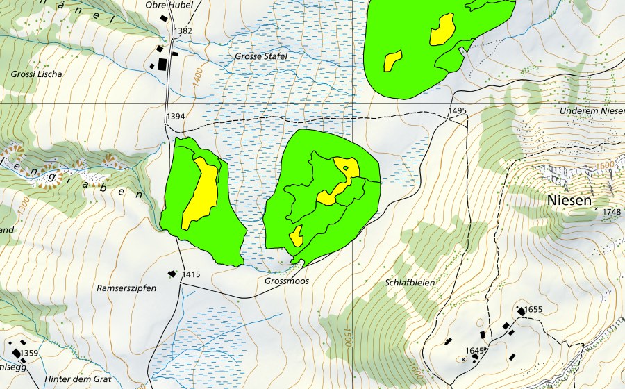 Landeskarte swisstopo mit dem Schutzperimeter von Moore zwischen Mirrenegg und Aellgäuli (Hochmoor)