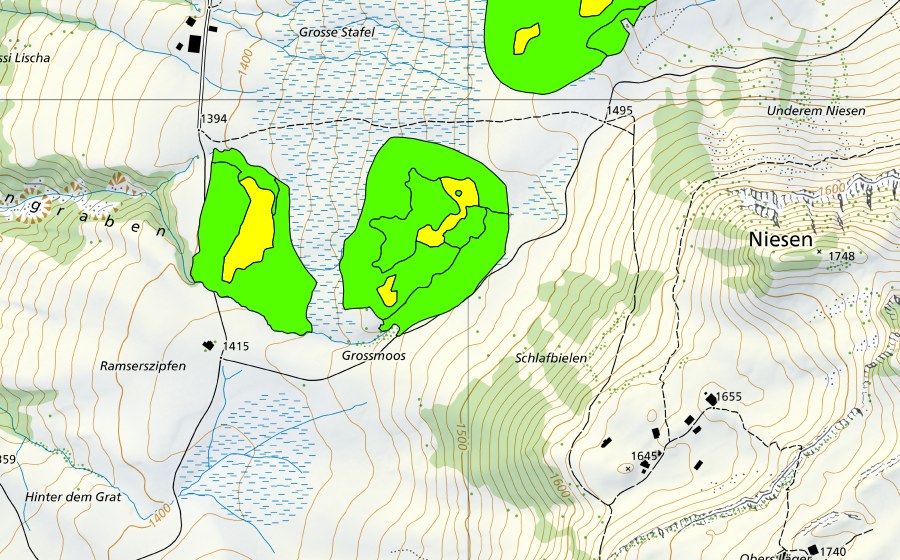 Landeskarte swisstopo mit dem Schutzperimeter von Moore zwischen Mirrenegg und Aellgäuli (Hochmoor)